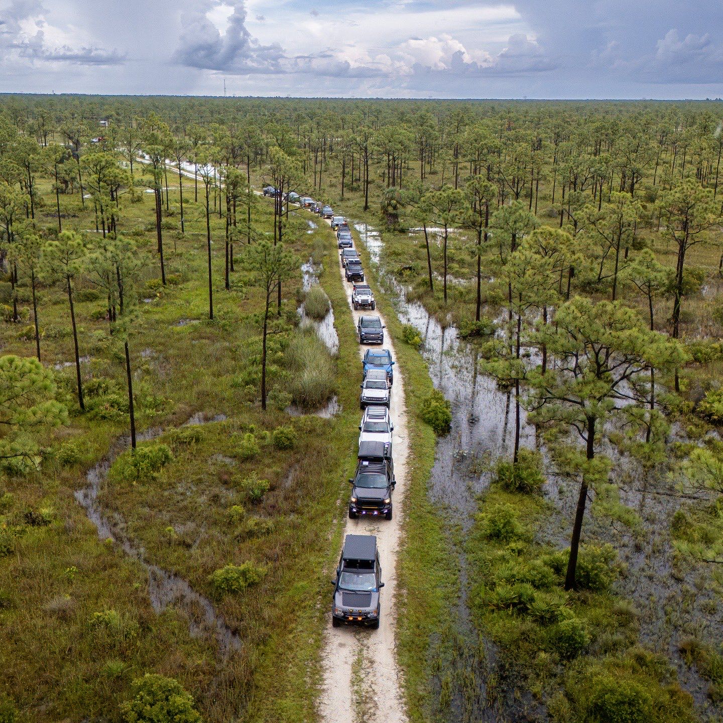 Aerial view of a convoy of overland vehicles crossing a flooded pine forest trail in South Florida