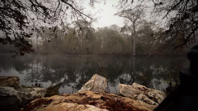 Still cypress pond reflecting the morning sky