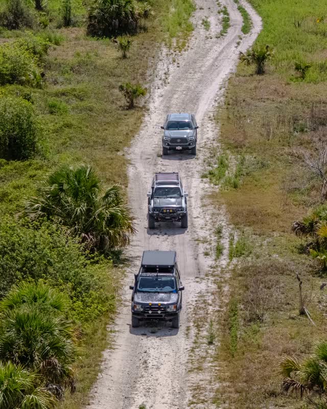 Aerial view of overland vehicles winding along a sandy track through palmetto prairie